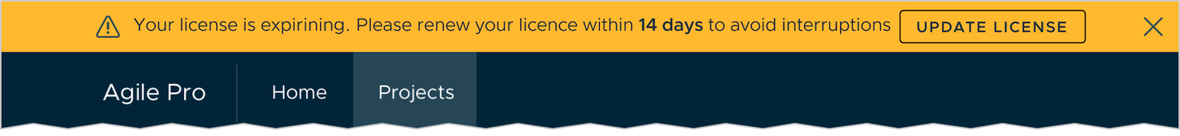 Image that shows App level alert above the page header.